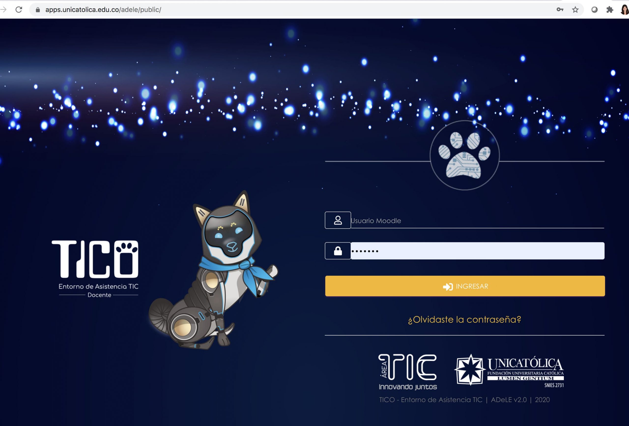 1 PASO INGRESO A TICO