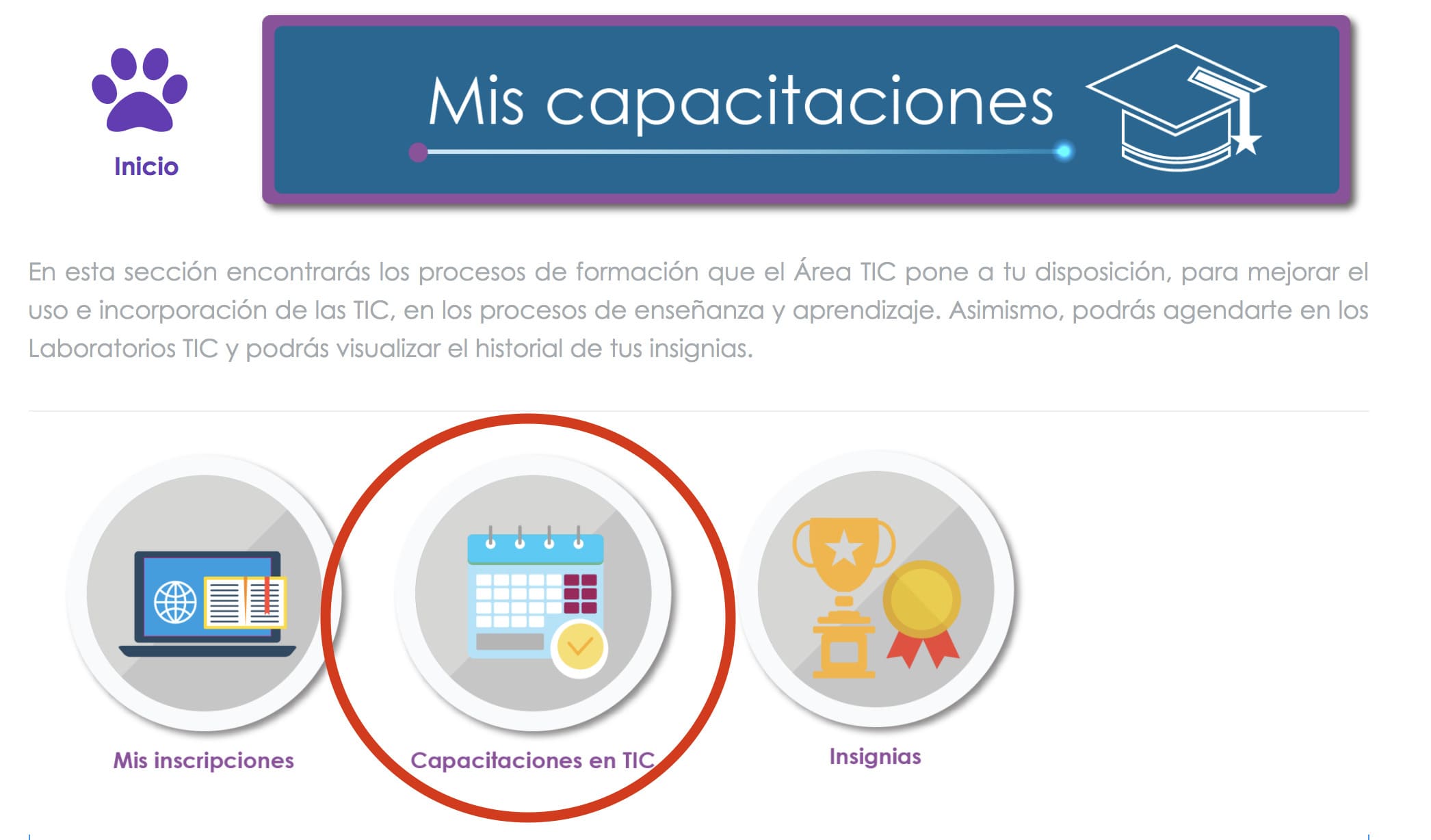 3 PASO CAPACITACIONES-TIC