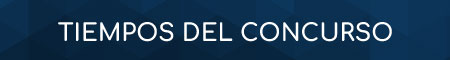 EL PROFE TIC 2020 TIEMPOS DEL CONCURSO